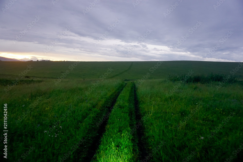 Fototapeta premium Driving on a grassy country road in the fields at dusk