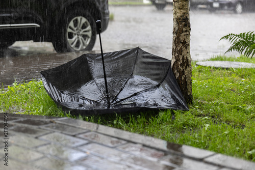 Obraz na płótnie Upside down umbrella on grass during heavy summer rain near roadside