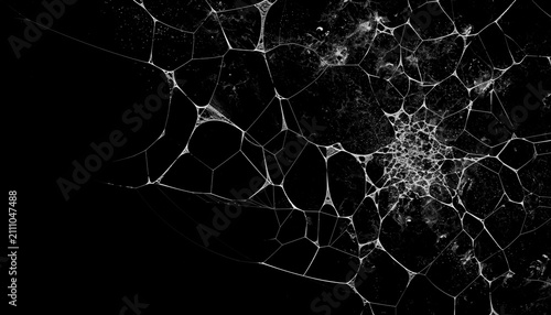 Quadro su tela Realistic spider web overlay on black background, detailed cobweb texture with white silk threads for Halloween design, horror poster, spooky decoration or graphic composition