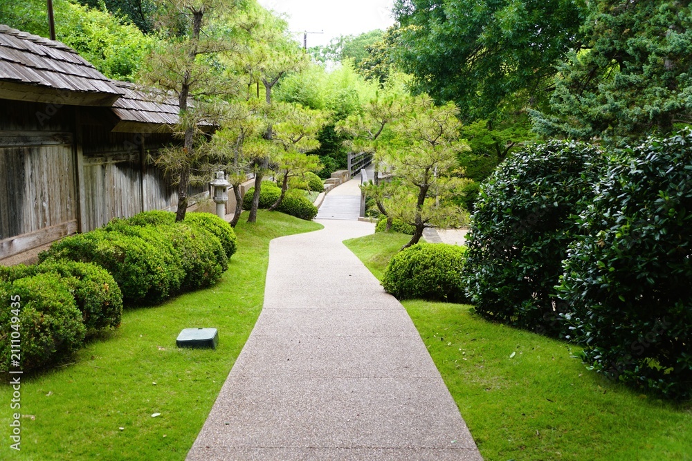 Fototapeta premium Curved paved Japanese garden path bordered by trimmed shrubs, wooden fence, stone lantern, and bridge leading through lush greenery near Fort Worth Botanic Gardens, Texas, U.S