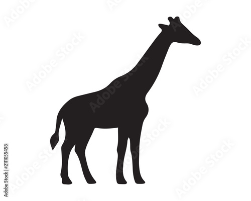 Photography Black silhouette of a standing giraffe with silhouette wildlife illustration