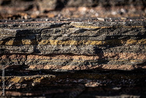 Cracked Mineral Texture Charcoal Ivory Macro Surface Detail