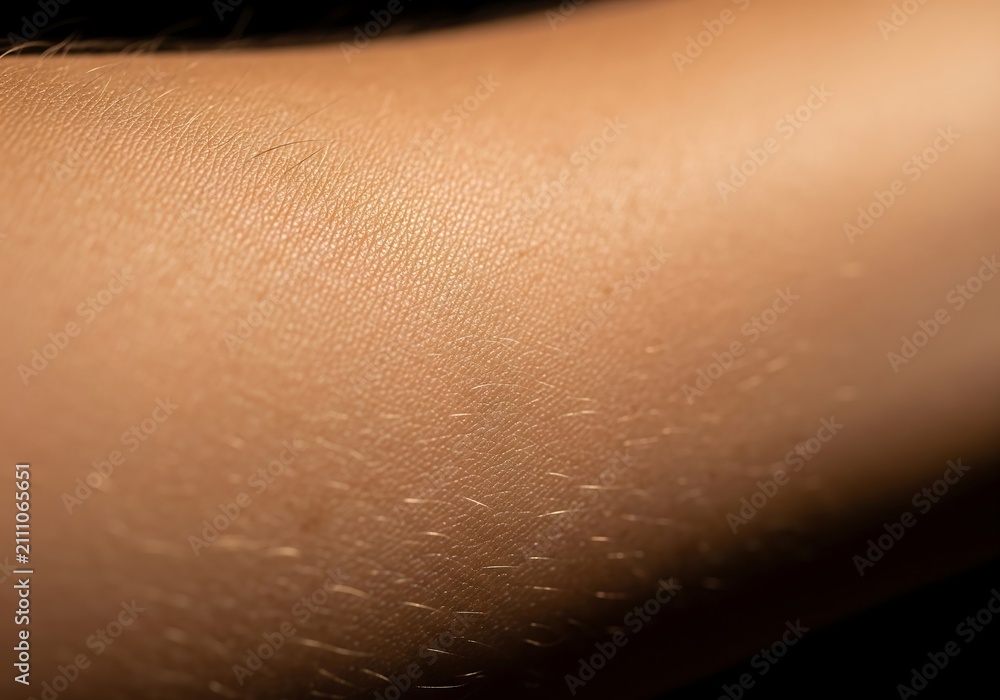 Fototapeta premium Close up view of human arm skin texture with fine body hair