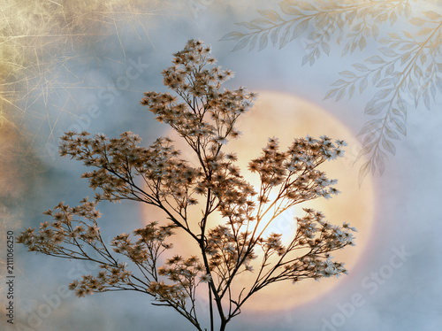 Silhouetted Dried Flowers Against Glowing Sunlit Background