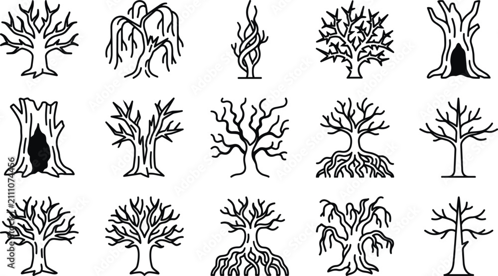 Fototapeta premium Premium Outline Bare Tree Icon Set with Unique Leafless Forest and Nature Vector Collection