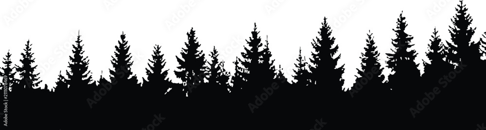 Obraz premium Black silhouette of a dense pine forest against pine forest silhouette