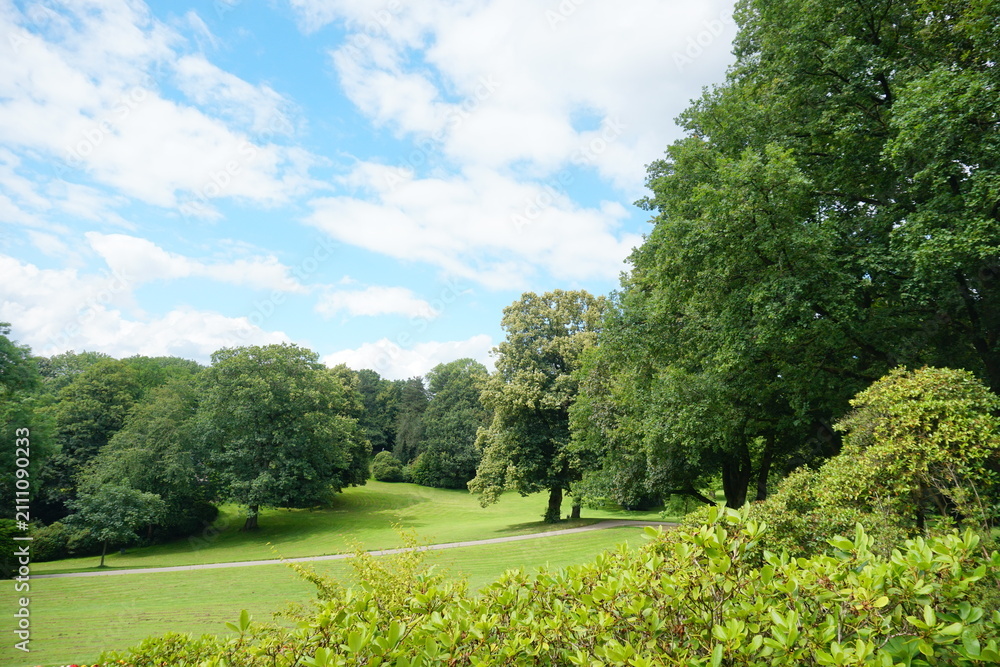 Fototapeta premium WUPPERTAL, GERMANY - JUNE 30, 2024: Scenic green city park landscape with lawn and trees under cloudy blue sky