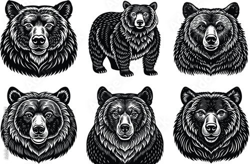 bear, mother, animal, predator, silhouette, grizzly, mammal, polar, illustration, nature, vector, wild, wildlife, clip art, signs, graphic, safari, zoo, isolated, icon, outline, symbol, mascot, paw, t