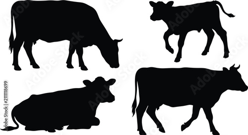 Obraz na płótnie Collection of four black cow and calf silhouettes isolated on white background s