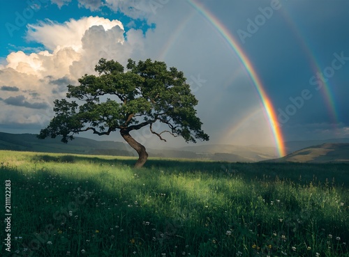 landscape with rainbow
