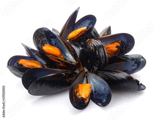 A pile of shiny black and orange mussel shells on a white background