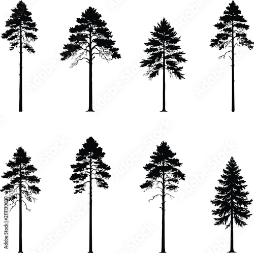 Collection of eight black pine tree silhouettes nature