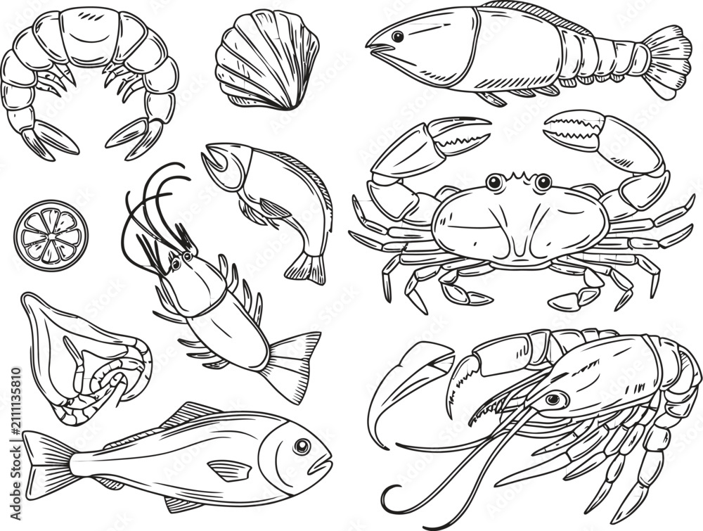 Obraz premium Vintage seafood line art collection, hand drawn fish and shellfish vector set, black and white nautical food illustrations for restaurant menus