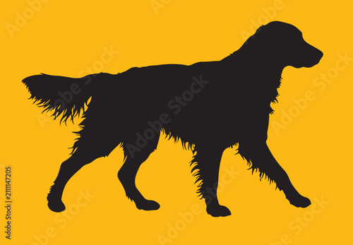 Flat coated retriever silhouette on white background.