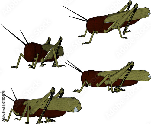 Technical 3D rendering of a wild locust grasshopper character model, displayed in multiple isometric views for game assets and low poly environments