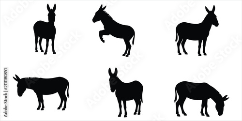 Foto Six black silhouette of donkeys displaying different poses and actions, includin