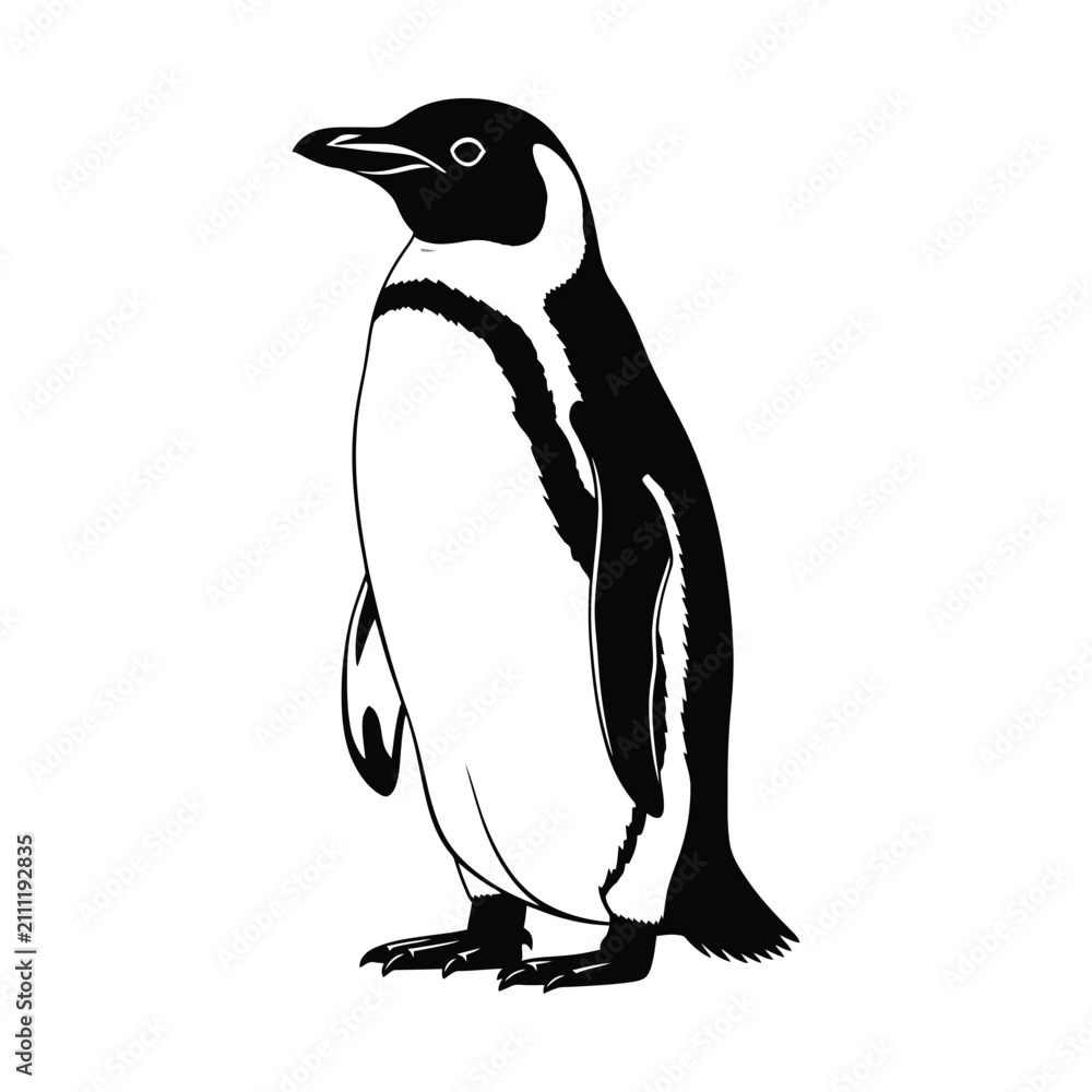 Fototapeta premium Black and white illustration of a standing penguin with detailed feathers and a sleek profile.