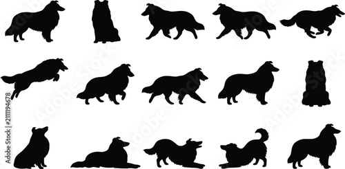 Fotografie Collie, dog, silhouette, vector, set, collection, standing, sitting, running, wa