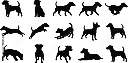 Fotografía Jack, Russell, Terrier, dog, silhouette, vector, set, collection, standing, sitt