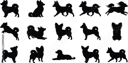 Obraz na płótnie Pomeranian, dog, silhouette, vector, set, collection, standing, sitting, running