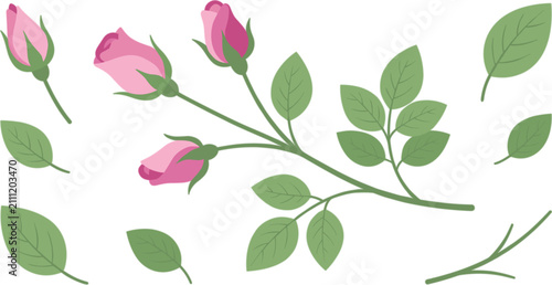 Bild auf Leinwand Pink rose branch with delicate flower buds and separate green leaves floral desi