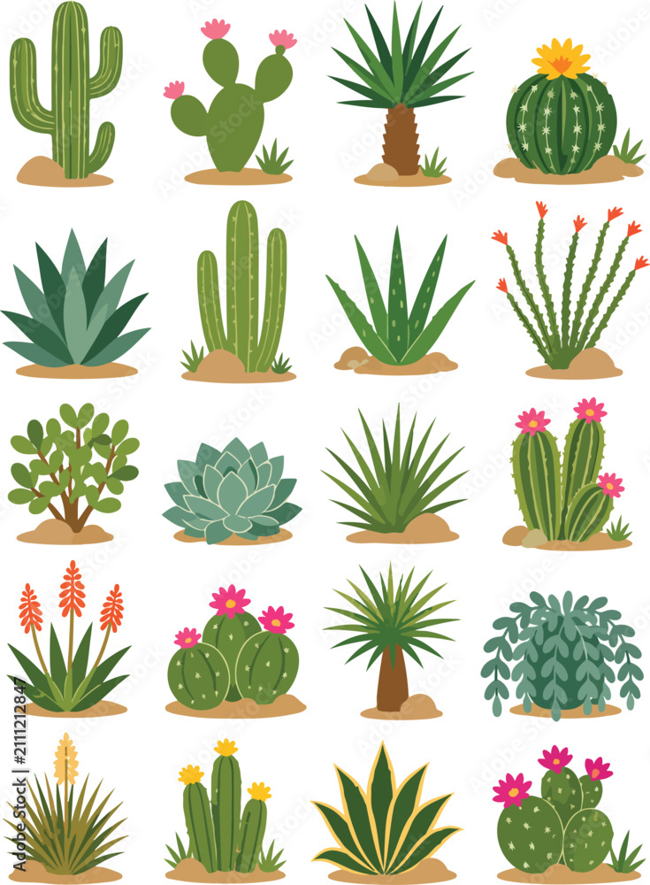Fototapeta premium Decorative succulent plants flat vector illustration collection featuring cactus, aloe, agave and potted desert plants isolated on white background