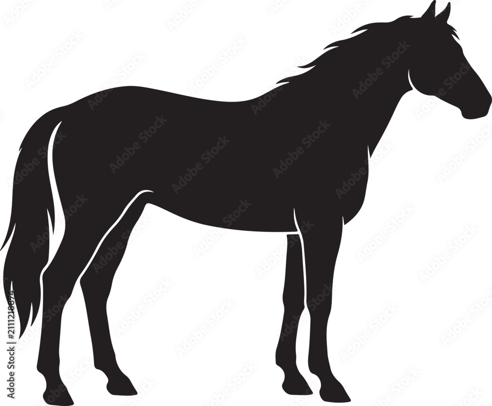 Obraz premium Black horse silhouette standing