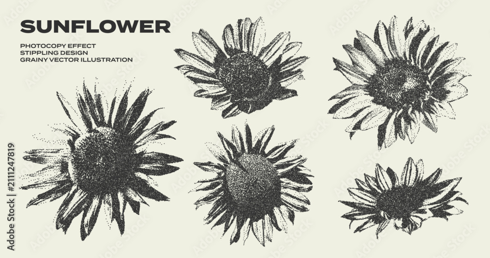 Fototapeta premium Retro botanical set of sunflower buds with grunge stippling effect. Vintage dotted texture illustrations of blooming flowers. Nature floral design. Trendy photocopy grainy art in halftone tones