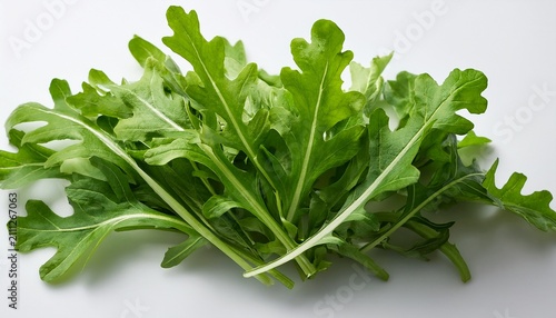 tender leaves of rocket lettuce against a white backdrop