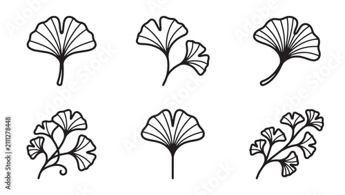 Ginkgo biloba leaves hand drawn botanical vector icons with botanical illustration environment minimalist collection isolated medicine