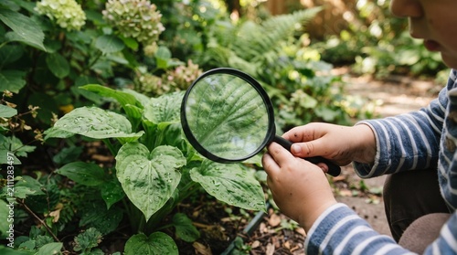 Child examining green leaf with magnifying glass. Kid exploring nature in garden.