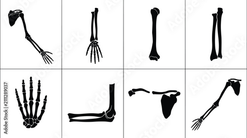 Tableau sur toile Human Arm And Shoulder Bones Anatomy Vector Silhouette Icons Set Including Humer