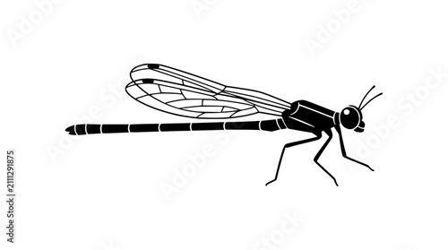 Quadro su tela Black silhouette of a damselfly on a white background
