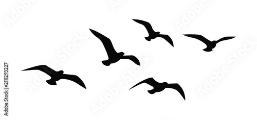 Konstfotografi Flying bird silhouette set