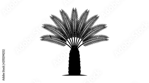Schilderij op canvas Silhouette of a lone palm tree with lush green fronds against a clean white background