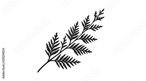 Schilderij op canvas Elegant black fern frond silhouette on white background, minimalist botanical de