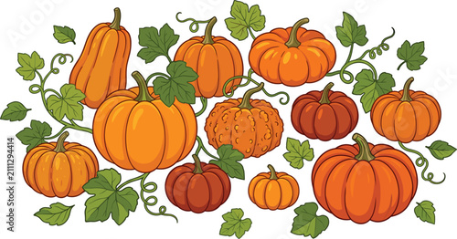 Photos Hand drawn harvest composition set with ripe orange pumpkins and gourds isolated