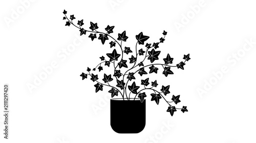 Foto Black silhouette of a potted ivy plant with sprawling vines and star-shaped leav