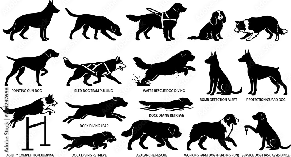 Obraz premium Dog Breeds Working Roles Labeled Educational Guide Service Dogs Vector Silhouettes