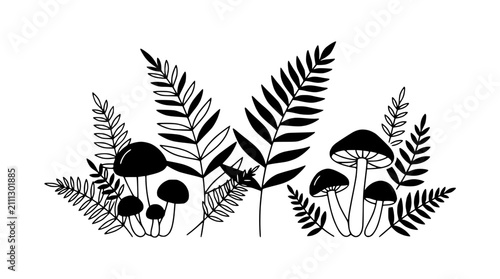 Fotografi Hand Drawn Black and White Mushroom and Fern Illustration