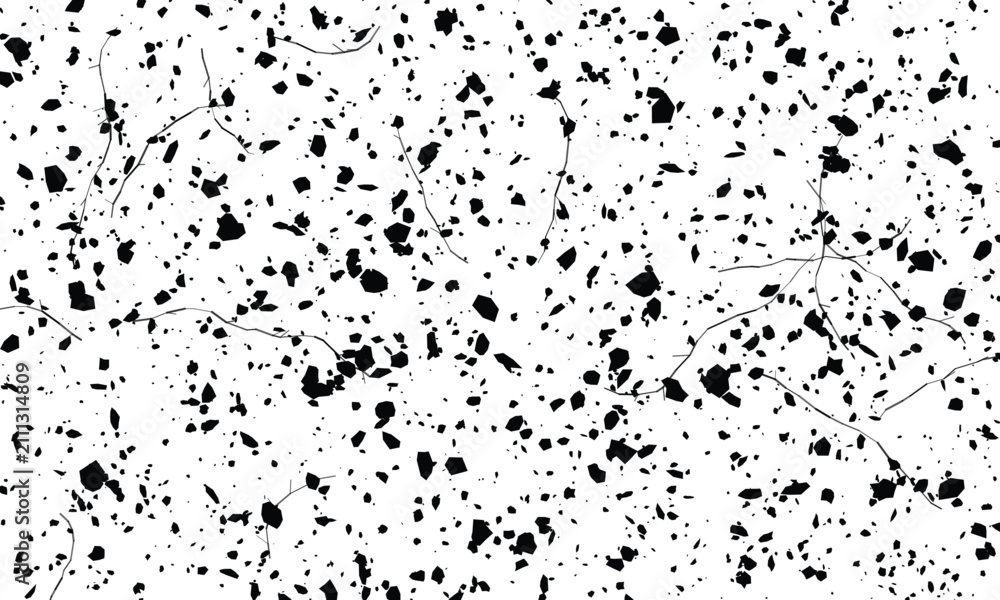 Fototapeta premium Black ink splatters on white background with fine organic lines abstract texture for graphic design backgrounds