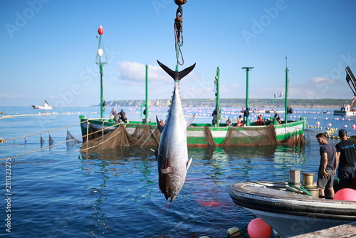 Almadraba bluefin tuna fishing in barbate