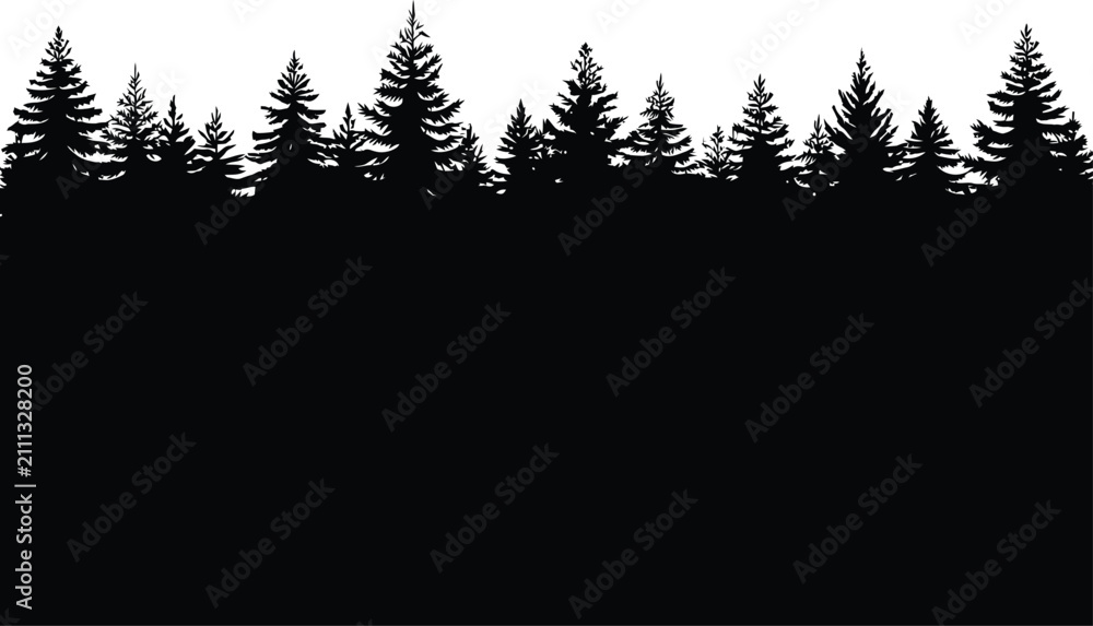 Fototapeta premium Silhouette of a dense evergreen forest against trees pine trees