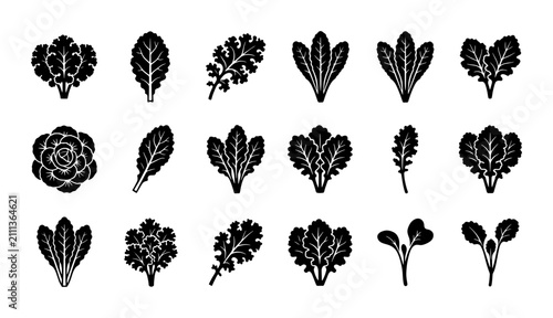 Canvastavla Leafy Greens Vector Icons Set, Organic Vegetable Silhouettes, Fresh Salad Ingred
