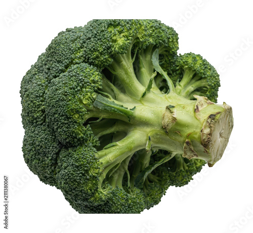 Fresh broccoli head png Green broccoli vegetable png Nutritious broccoli florets png Organic isolated transparent background image