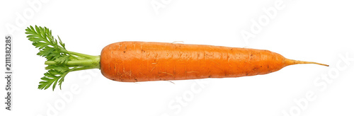 fresh carrot png orange carrot png isolated transparent background