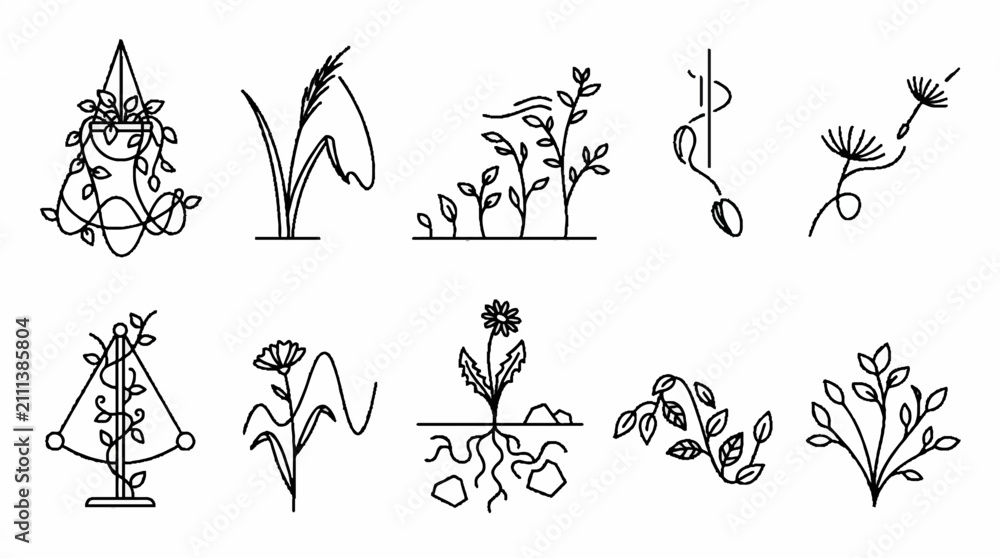 Obraz premium A collection of hand drawn botanical illustrations featuring various plants and flowers in a minimalist line art style.