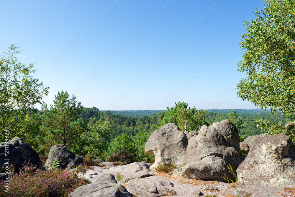 Obraz premium The Rocher au Four in the 25 bumps circuit. Fontainebleau massif