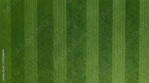 Green mowed grass field texture with stripe pattern top view