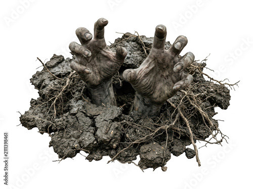 Two zombie hands rising from the ground isolated on transparent background. Halloween horror concept.